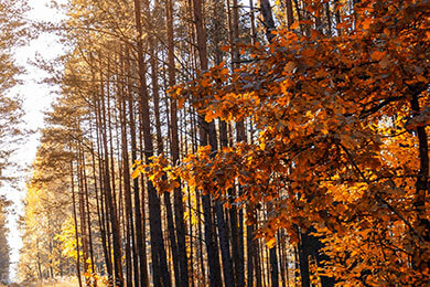 开云APP-摩洛哥险胜英格兰，萨内惊艳世界：足球热潮中的华丽瞬间