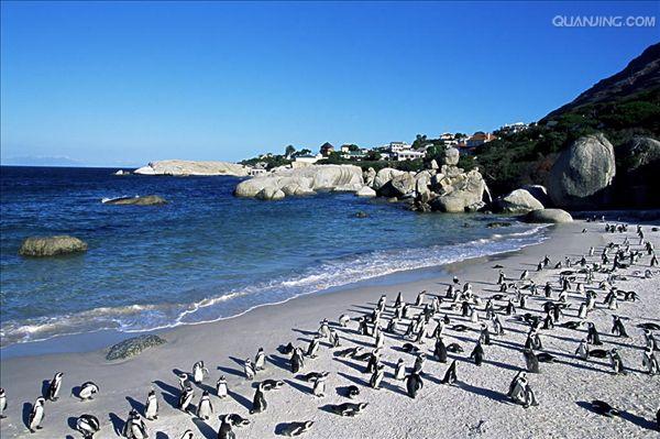 南非足球联赛收官战,开普敦城胜布洛姆城,全场震撼 南非足球联赛收官战,开普敦城胜布洛姆城,全场震撼