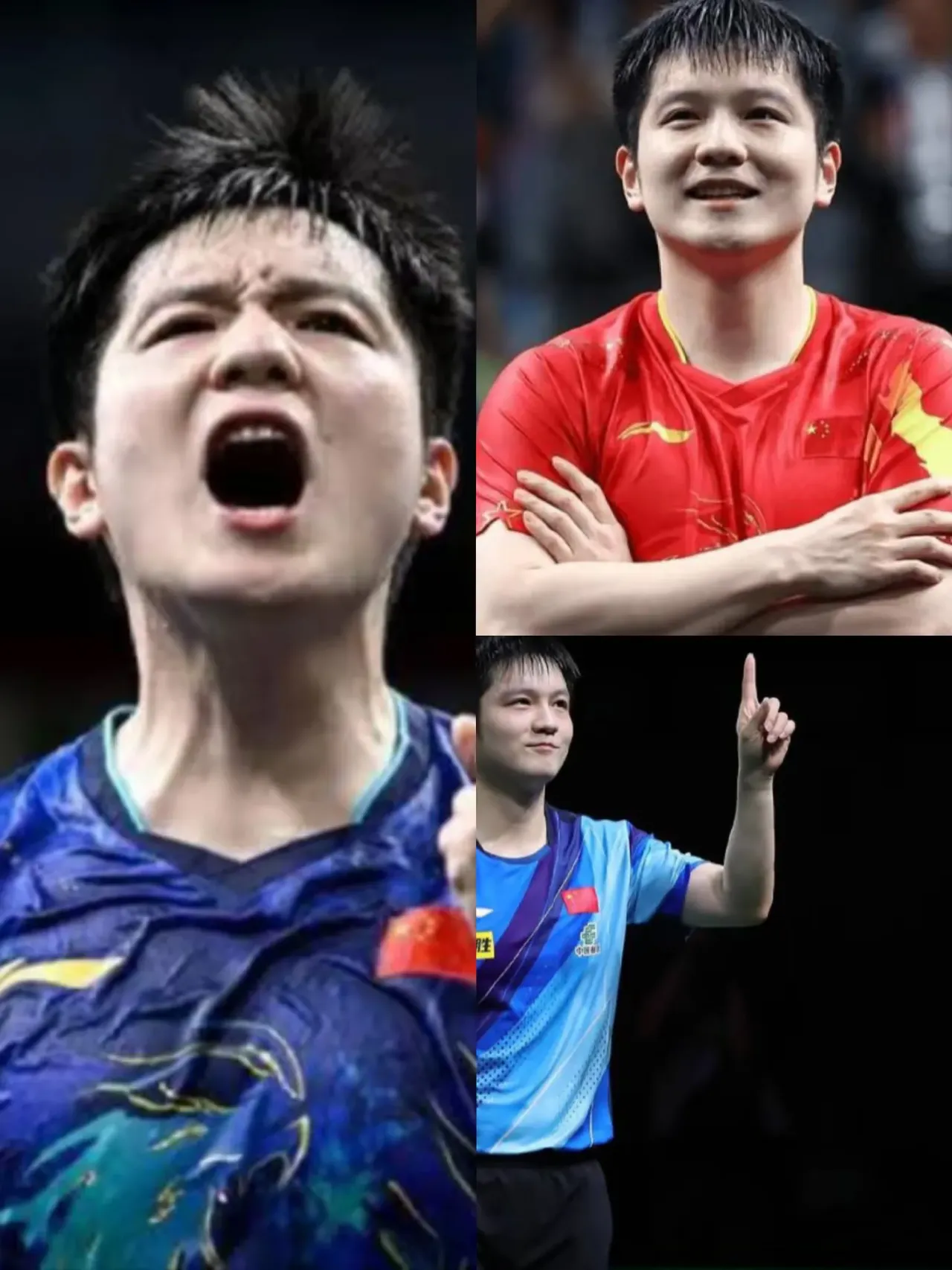 关于法国乒乓球队逆转日本乒乓球队，樊振东统治全场的信息