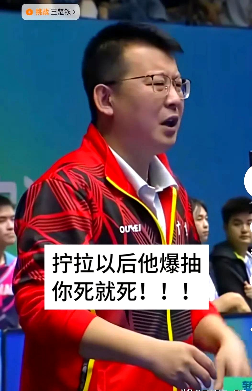 德国队碾压法国队，张本智和统治全场