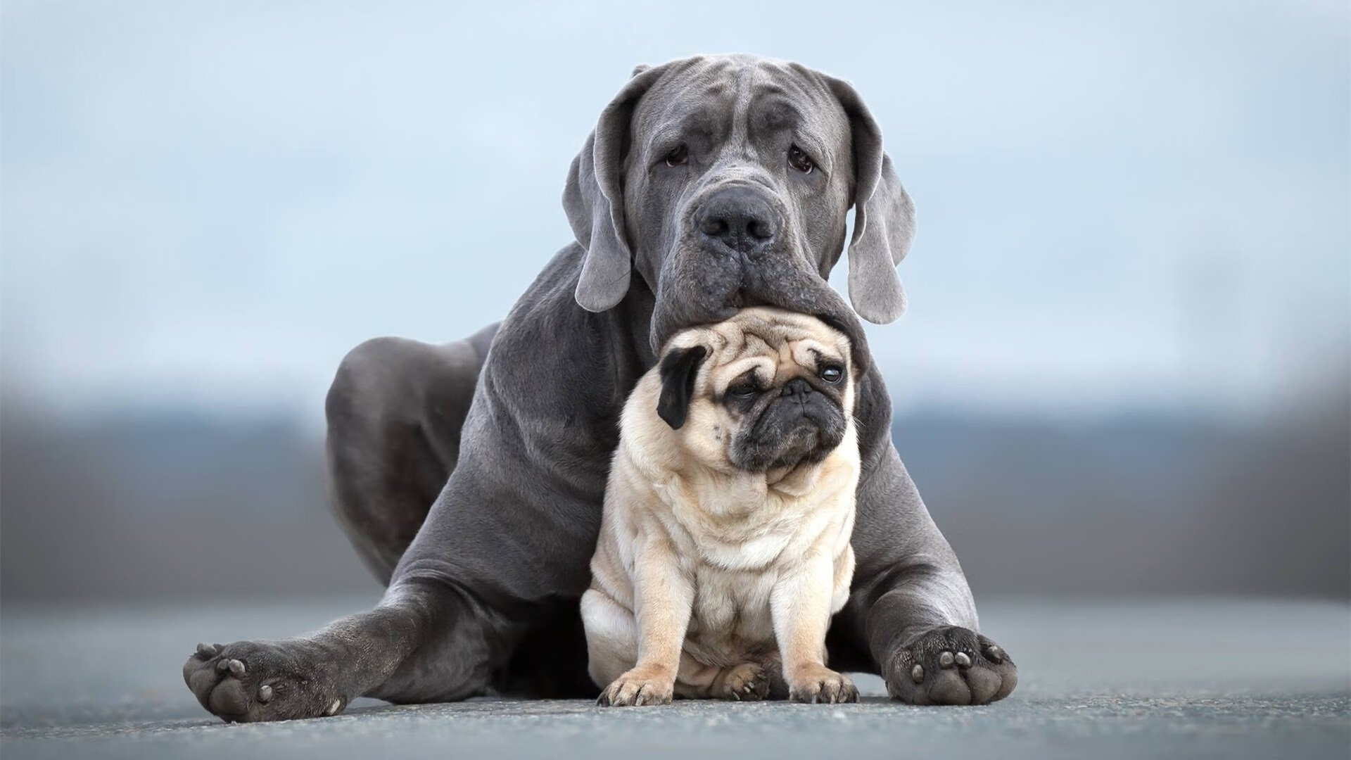 闪电战摧毁黄色潜水艇！罗马用47分钟写下欧冠史诗，穆里尼奥的极限防反再封神